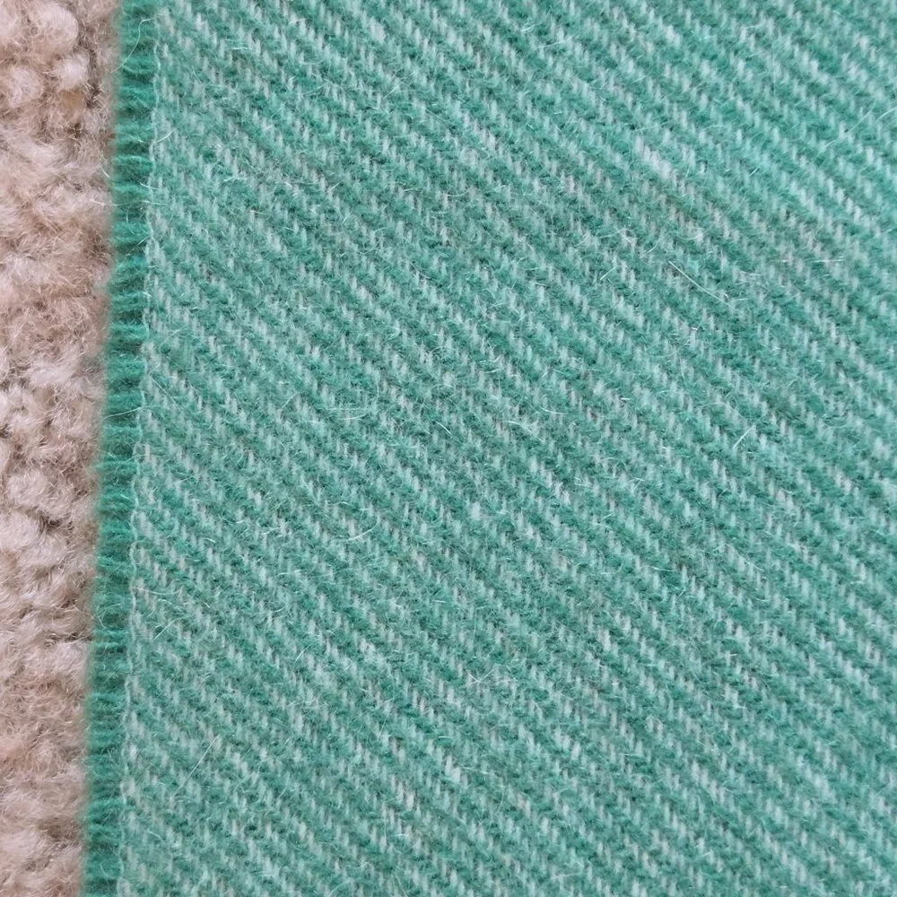 NWOT Cashmere Fringed Scarf Green Louisa Perini